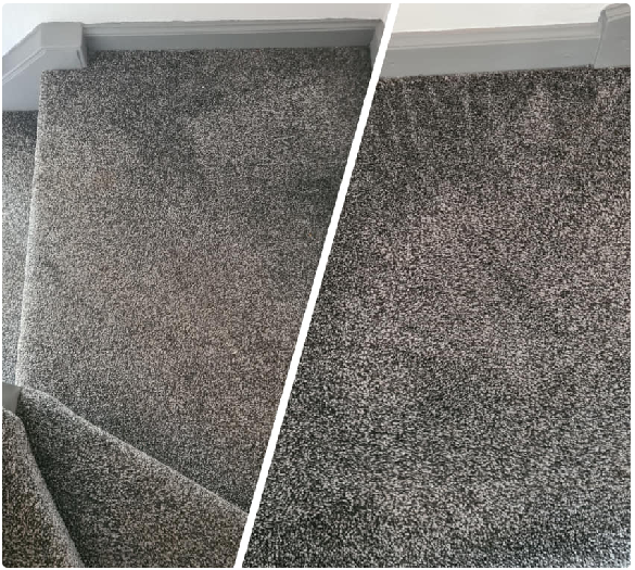Carpet Cleaning Wavell Heights